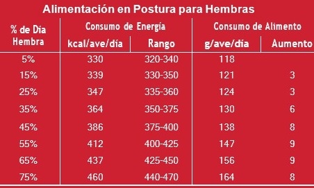 Nutrición de precisión y holística en reproductoras pesadas - Image 1