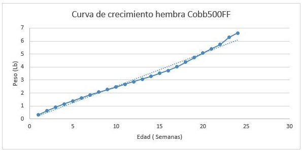 Nutrición de precisión y holística en reproductoras pesadas - Image 12