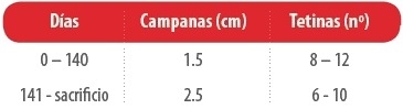 Nutrición de precisión y holística en reproductoras pesadas - Image 4