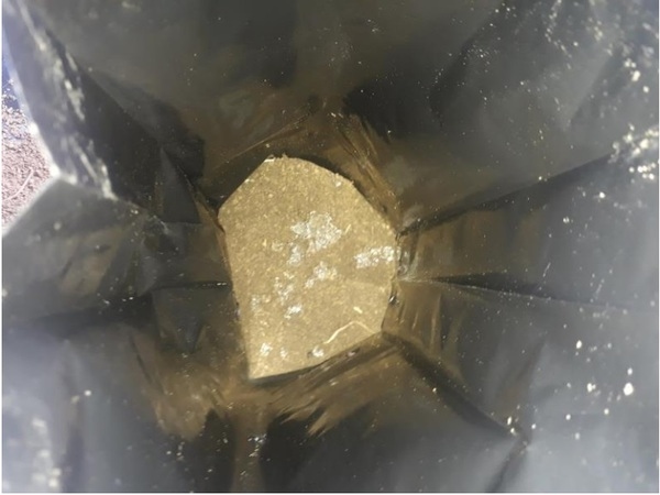 PROTOCOLO PARA LA IMPLEMENTACION DE VIVEROS DE AGUACATE - Image 15