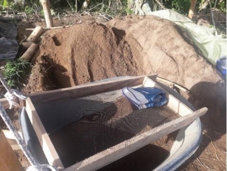 PROTOCOLO PARA LA IMPLEMENTACION DE VIVEROS DE AGUACATE - Image 11