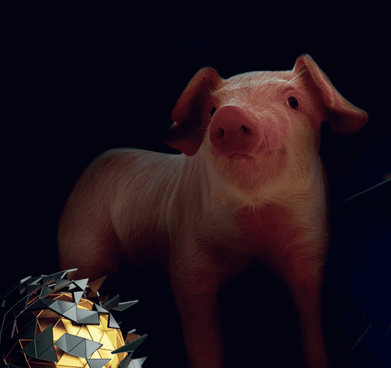 La importancia de GLUCANGOLD® (beta glucanos purificados) en la reducción de la mortalidad porcina - Image 1