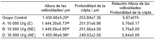 Xilanasa: impacto en el crecimiento y salud intestinal de pollos de engorde - Image 3