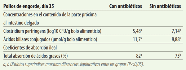 Tabla 1: Contenidos de la parte proximal del intestino delgado en pollos y los coeficientes de absorción ileal en el día 35.