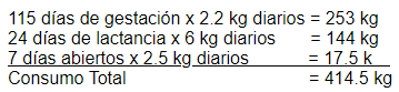 Consideraciones sobre la conversión alimenticia en el sitio uno - Image 1