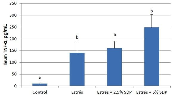 Una nutrición mejorada mediante la suplementación con plasma en la dieta durante la Fase de Destete redujo posteriores episodios de estrés - Image 4