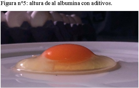 Uso de aditivos biodisponible para la mejora en la calidad de Huevo - Image 5