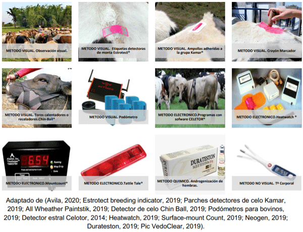 Imagen 2: Compendio de métodos de detección de celo en bovinos