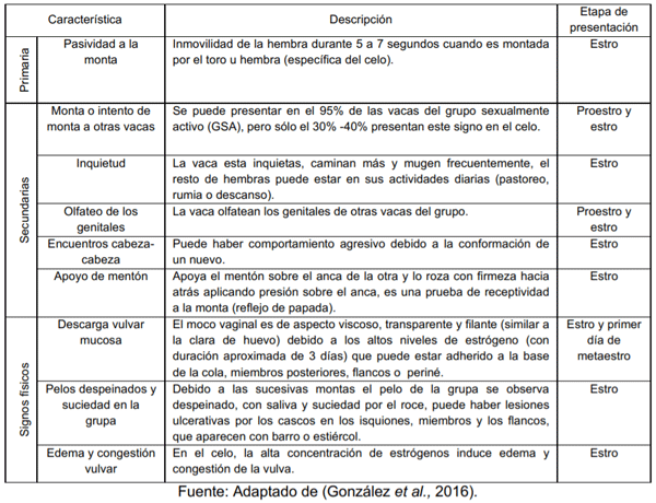 Características de comportamiento durante el estro en bovinos.