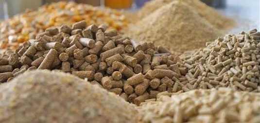 Cómo reducir el costo del alimento para pollos de engorde sin afectar la calidad del alimento - Image 1