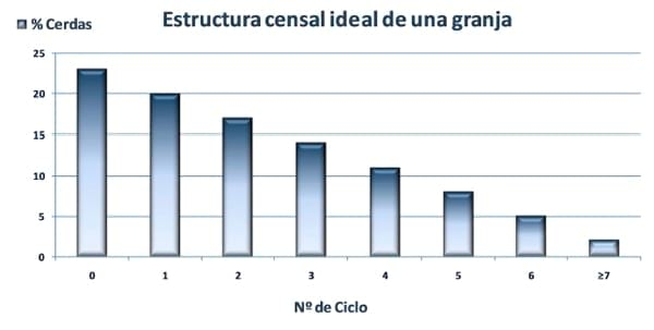 Uso del Altrenogest en la sincronización de hembras nulíparas - Image 1