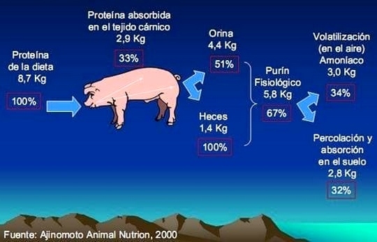 ¿Cuánta agua nos cuesta? - Image 1