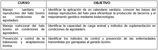 Cuadro 2. Lista de cursos impartidos a los productores y técnicos del PRODETER.