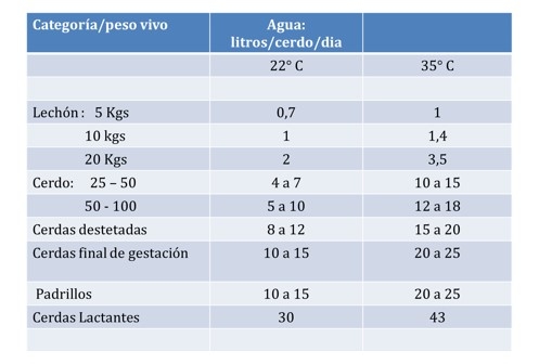 Agua – consideraciones - Image 1