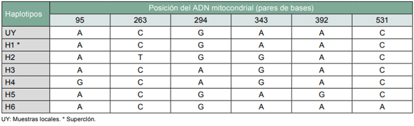 Cuadro 3 - M. sacchari COI haplotipos según (1).