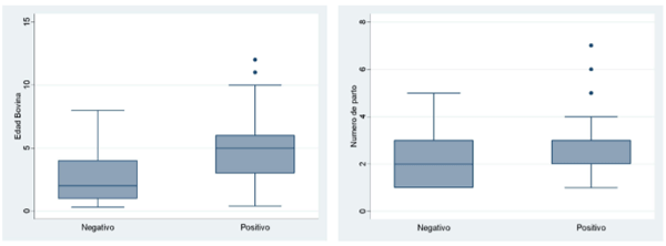 Figura 1 Diagrama de caja y bigotes de bovinos de tres distritos de la provincia de Parinacochas, Ayacucho, según resultado a la prueba diagnóstica de anticuerpos contra el VDVB. Izquierda: Según la edad; Derecha: Según el número de partos 