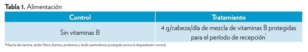 Efecto de la suplementación de vitaminas B protegidas durante el período de recepción en el desempeño del ganado de carne - Image 1