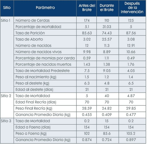 Doble intervención para estabilizar el Síndrome Respiratorio y Reproductivo Porcino -PRRS en una granja de un solo sitio con flujo continuo - Image 1