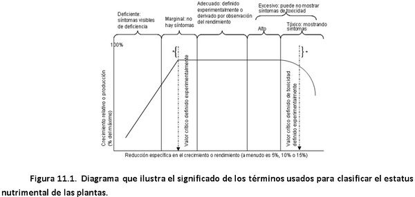 DIAGNÓSTICO DE LA FERTILIDAD DEL SUELO Y ESTADO NUTRIMENTAL DE LOS CULTIVOS - Image 6
