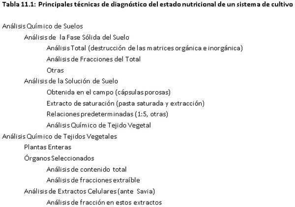 DIAGNÓSTICO DE LA FERTILIDAD DEL SUELO Y ESTADO NUTRIMENTAL DE LOS CULTIVOS - Image 2