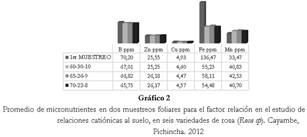 Respuesta de seis cultivares de rosa (Rosa sp.) a tres relaciones catiónicas del suelo. Cayambe, Pichincha - Image 5
