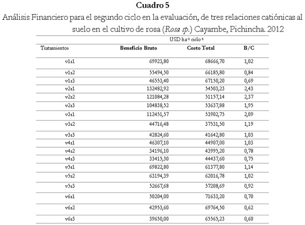Respuesta de seis cultivares de rosa (Rosa sp.) a tres relaciones catiónicas del suelo. Cayambe, Pichincha - Image 7