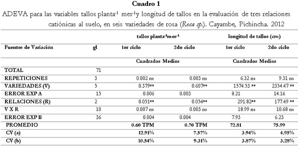 Respuesta de seis cultivares de rosa (Rosa sp.) a tres relaciones catiónicas del suelo. Cayambe, Pichincha - Image 1