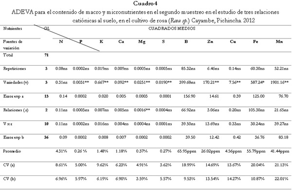 Respuesta de seis cultivares de rosa (Rosa sp.) a tres relaciones catiónicas del suelo. Cayambe, Pichincha - Image 6