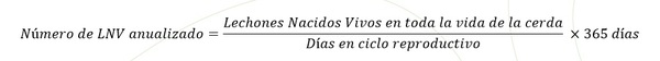 Factores que ayudan a mejorar la productividad reproductiva en cerdas - Image 1