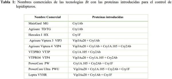EVALUACIÓN DE EVENTOS BIOTECNOLÓGICOS PARA EL CONTROL DE LEPIDÓPTEROS EN HÍBRIDOS DE MAÍZ - Image 1