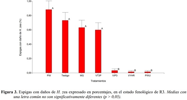 EVALUACIÓN DE EVENTOS BIOTECNOLÓGICOS PARA EL CONTROL DE LEPIDÓPTEROS EN HÍBRIDOS DE MAÍZ - Image 4