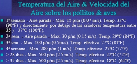 Manejo de las variables en producción y su incidencia en el performance del pollo - Image 1