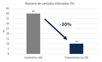 Estrategias de nutrición porcina en la fase de lactación - Image 3