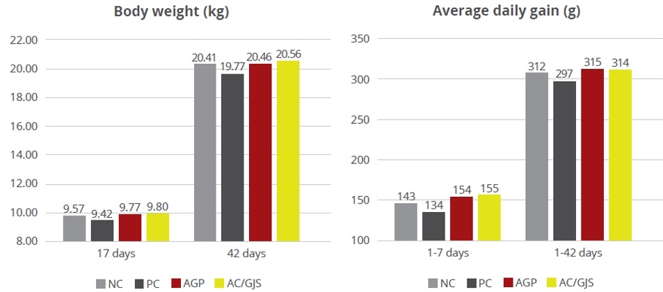 Escenarios de nutrición de lechones para la eliminación de AGP - Image 1