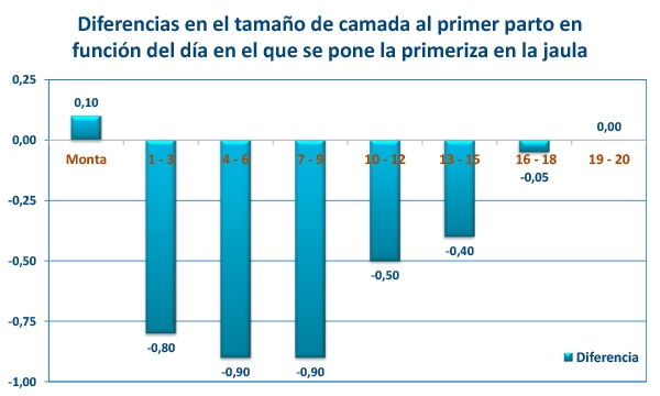 Adaptación de Hembras Nulíparas - Image 6