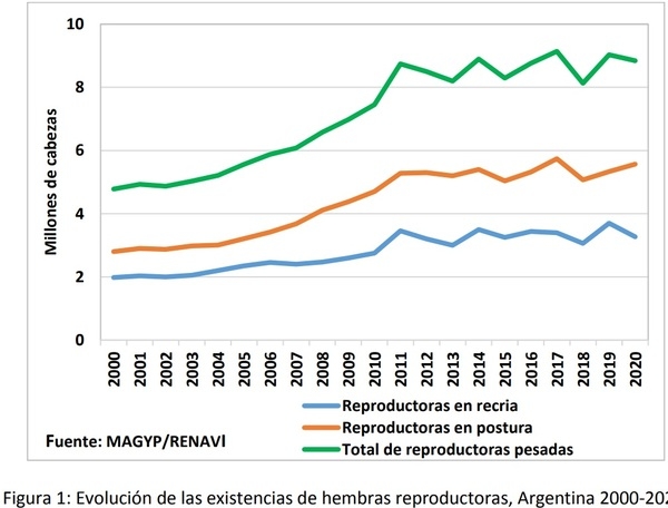 La cadena de carne aviar en Argentina. Indicadores económicos e informes técnicos - Image 1