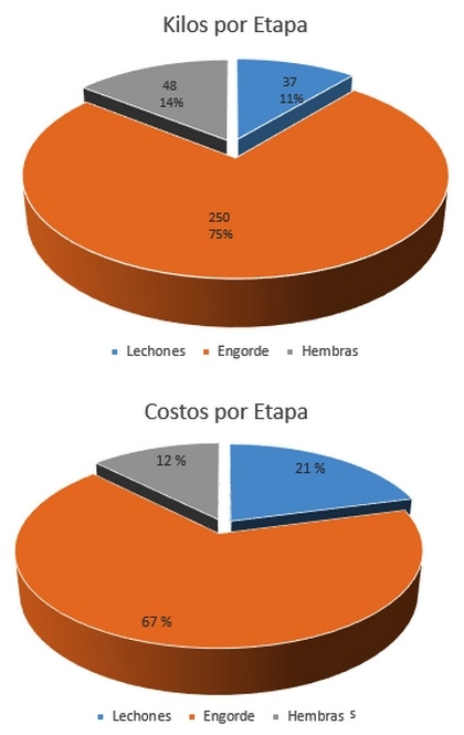 Puntos claves de la alimentación que afectan la rentabilidad en el Engorde - Image 3