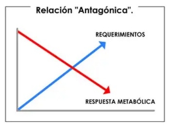 Trastornos metabólicos en las cerdas gestante y lactante. Su repercusión el Síndrome de la Cerda Delgada. Explicación de los eventos. - Image 1