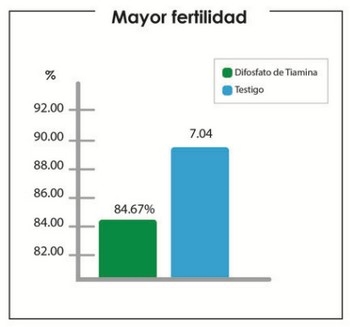 Trastornos metabólicos en las cerdas gestante y lactante. Su repercusión el Síndrome de la Cerda Delgada. Explicación de los eventos. - Image 9