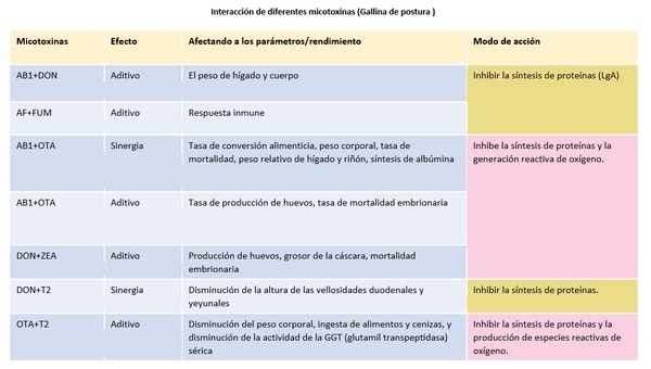 10 características de las micotoxinas que se pasan por alto fácilmente - Image 1