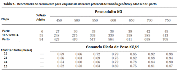 ¿Qué sigue después de los 6 meses de edad de la becerra lechera rumbo al cumplimiento de su primer parto entre los 22 y 24 meses de edad? - Image 6