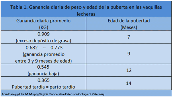 ¿Qué sigue después de los 6 meses de edad de la becerra lechera rumbo al cumplimiento de su primer parto entre los 22 y 24 meses de edad? - Image 4