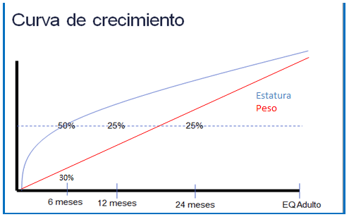 ¿Qué sigue después de los 6 meses de edad de la becerra lechera rumbo al cumplimiento de su primer parto entre los 22 y 24 meses de edad? - Image 1