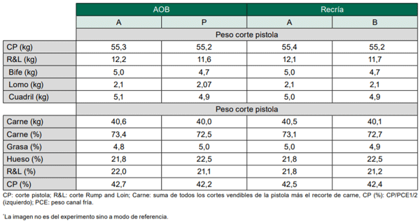 Cuadro 2 - Efecto del AOB y la recría sobre el peso y composición del corte pistola (Correa et al., 2020).