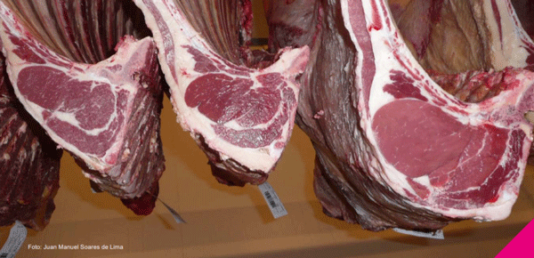 IMPACTO ECONÓMICO DEL MÉRITO GENÉTICO CARNICERO EN LA CADENA CÁRNICA BOVINA