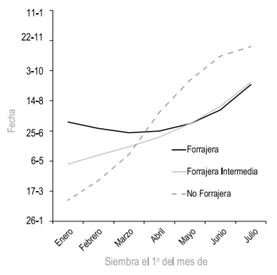 Figura 3 - Fechas esperadas de floración en función de fecha de siembra para el año 2015.