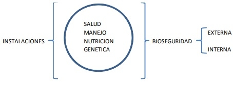 SALUD, MANEJO Y BIOSEGURIDAD INDISPENSABLES EN EL NEGOCIO PORCICOLA - Image 1