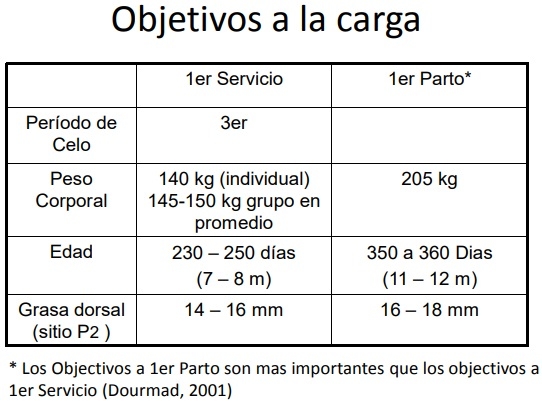 SALUD, MANEJO Y BIOSEGURIDAD INDISPENSABLES EN EL NEGOCIO PORCICOLA - Image 5