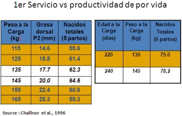 SALUD, MANEJO Y BIOSEGURIDAD INDISPENSABLES EN EL NEGOCIO PORCICOLA - Image 7