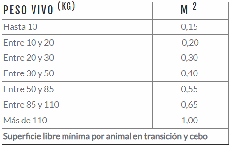 Requerimientos legales sobre bienestar animal en explotaciones de porcino - Image 3